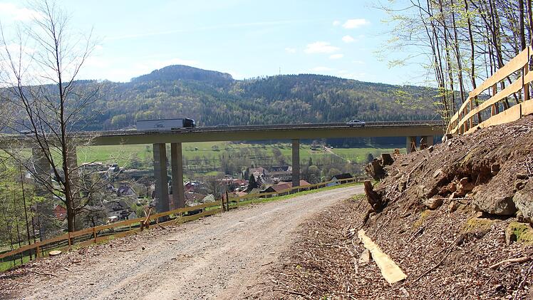 Rund um die Talbrücke Römershag muss der Bewuchs weichen. Dort soll eine neue Brücke gebaut werden. Direkt darunter ist ein Wohngebiet. Foto: Julia Raab