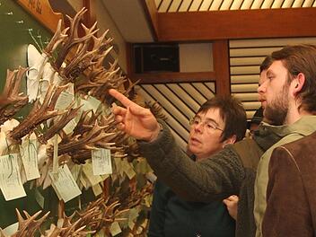 Die Gehörne und Trophäen wurden ganz genau in Augenschein genommen. Foto: Günther Geiling