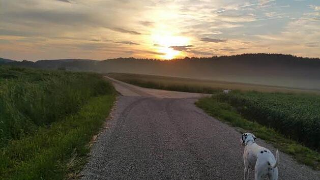 Foto: inFrankenpix-Nutzerin JeaniBini