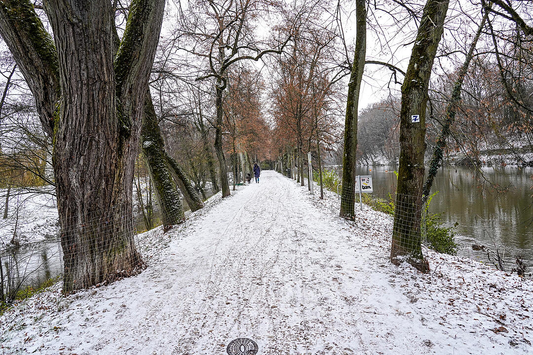 Bamberg im Winter