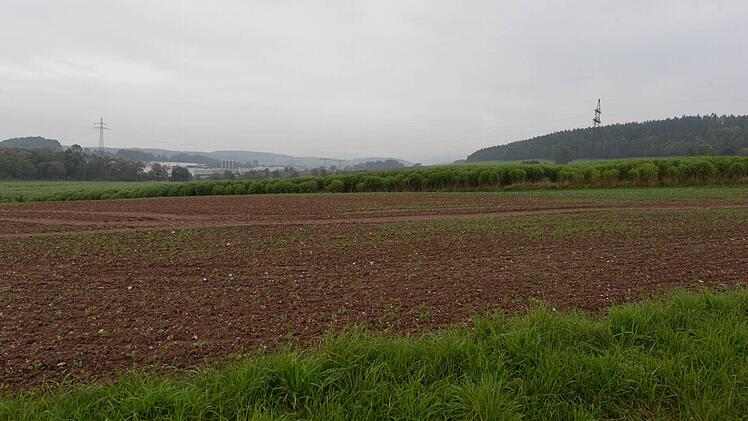 Foto: Ronald Rinklef