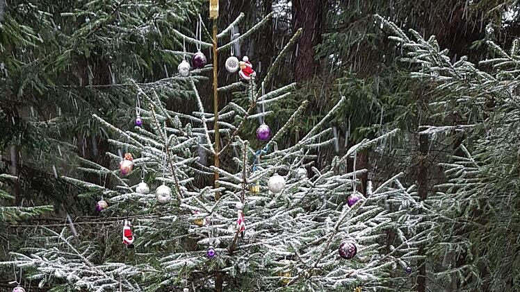 Bastian Waldmann: "Dieser Christbaum ist am Waldweg zum Wasserfall bei Veitlahm. Er soll Wanderer, Spaziergänger, Reiter und Waldtiere erfreuen. Er ist vom 1. Advent bis zum 6.Januar geschmückt."