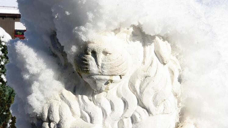 Da friert es selbst einen Löwen. Foto: Franz Galster