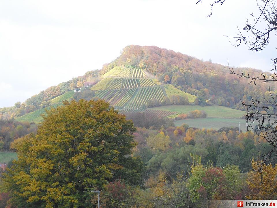 ABO Plus Bus-Wander-Tour Handthal_29.10.2016