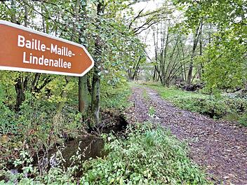 Von diesem Durchlass am "Laubenbach" gelangten die Radfahrer bislang weiter zur Bahnunterführung und dann zur Baille-Maille-Allee nach Himmelkron. Dieses Wegstück soll aber nach den Plänen der Flurneuordnung im Bereich von Schlömen aufgelassen werden.  Foto: Werner Reißaus