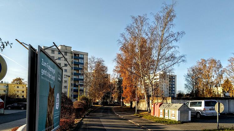 Blick in die Jean-Paul-Allee in Neustadt