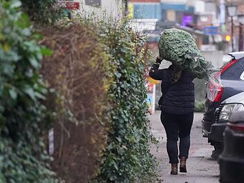 Weiß, grün, nass oder doch stürmisch - wie wird das Wetter an Weihnachten?