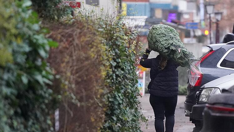 Würzburg: Christbaum-Abfuhrtermine bekannt - Stadt gibt Überblick