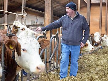 Jürgen Angermüller bei seinen Kühen im Stall. Einen anderen Beruf möchte der Landwirt aus Merlach keinesfalls haben. Fotos: Rainer Lutz