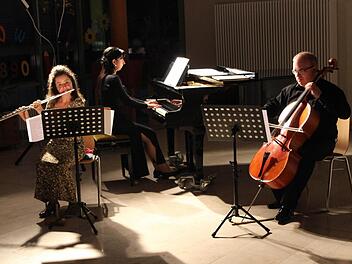 Das Trio "Exotic" bei seinem Auftritt in Igensdorf  Foto: fra-press