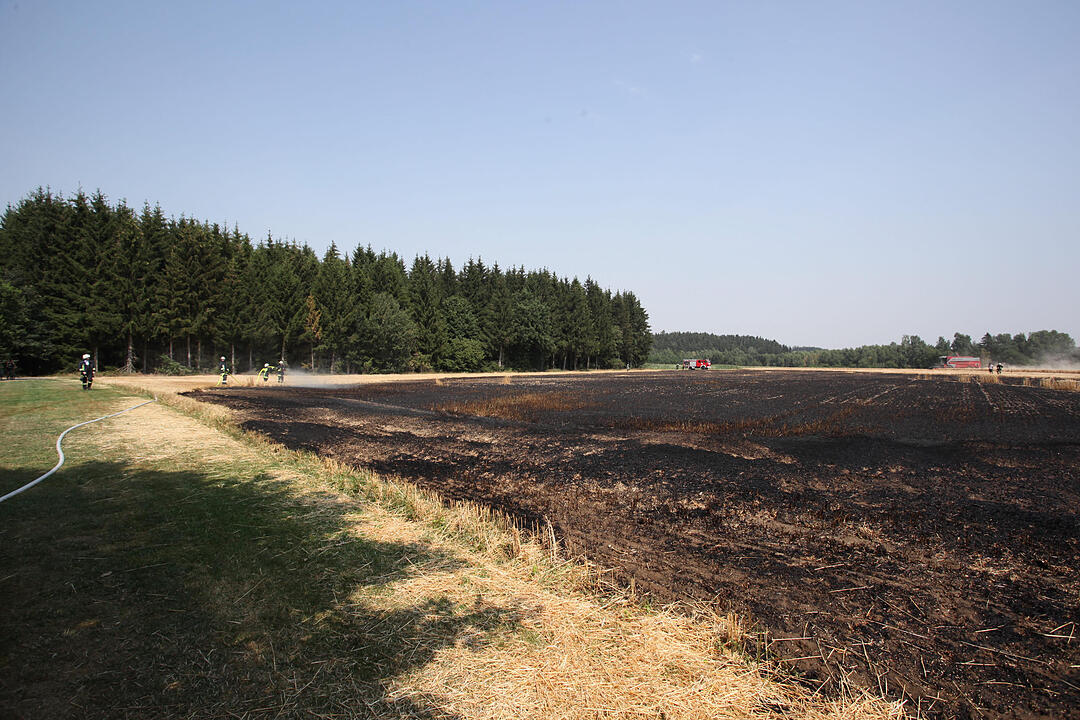 Feldbrand drohte auf Wohngebiet überzugreifen