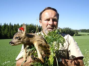 Wenn ein Rehkitz entdeckt wird, darf es keinesfalls mit bloßen Händen angefasst werden, sonst wird es von seiner Mutter verstoßen. Harald Höhn nimmt Gras zur Hilfe, um es aus dem zu mähenden Feld zu tragen. Fotos: Sonny Adam