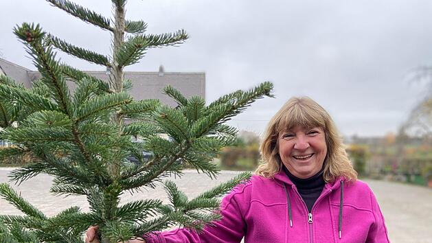 Welcher Baum ist eigentlich für wen der richtige? Tipps & Tricks von Baumprofi Claudia Bauer. Foto: Redaktion