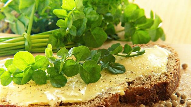 Brunnenkresse schmeckt auch toll auf frischem Brot!