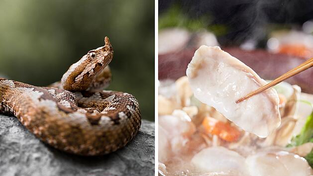 SplitImage 1753270279