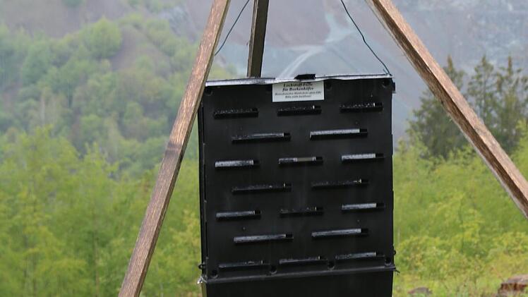 Mit Borkenkäferfallen beteiligt sich Stadtsteinach am Käfer-Monitoring des Landwirtschaftsministeriums. Foto: Klaus Klaschka