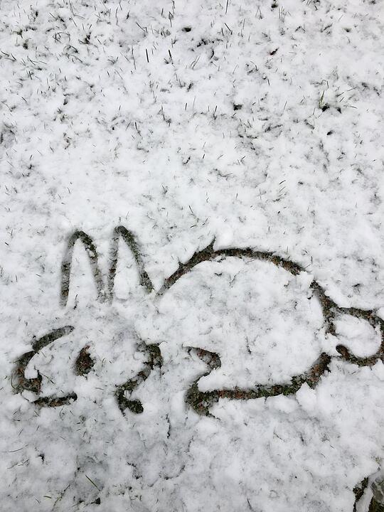 Winter in Franken