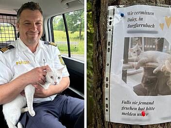 Main-Donau-Kanal: Mutige Fußgängerin bittet Polizei um Hilfe - Beamte finden vermisste Katze