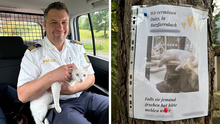 Main-Donau-Kanal: Mutige Fußgängerin bittet Polizei um Hilfe - Beamte finden vermisste Katze