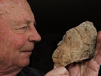 Der Forchheimer Hans Kuntze ist überzeugt, dass sein Fossil-Fund aus Großenohe einen Menschenaffen zeigt. Als Beleg dienen dem 84-Jährigen vor allem die Zahnspuren (links unten). Foto: Barbara Herbst