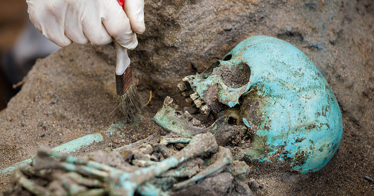 Ausstellung über Pestfriedhof in Nürnberg: 3000 Skelette entdeckt
