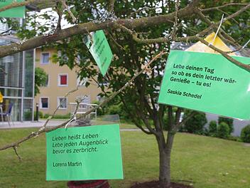 Schüler der Berufsfachschule für Krankenpflege bestückten am Donnerstag einen Poesiebaum im Eingangsbereich der Frankenwaldklinik mit neuem Leben. Foto: Heike Schülein