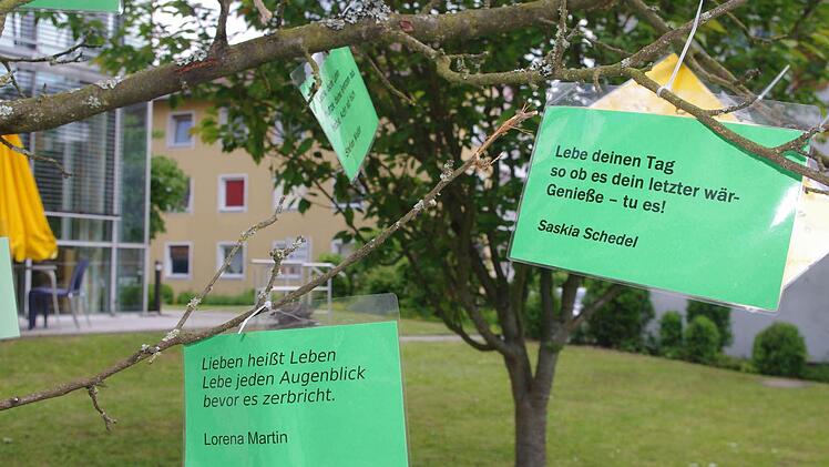 Schüler der Berufsfachschule für Krankenpflege bestückten am Donnerstag einen Poesiebaum im Eingangsbereich der Frankenwaldklinik mit neuem Leben. Foto: Heike Schülein