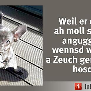 Foto: Nadine Felicè