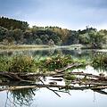 Wegen langer Trockenphasen müssen die Flüsse Nordbayerns mit zusätzlichem Wasser versorgt werden. Symbolfoto: Lubos Houska/Pixabay.com