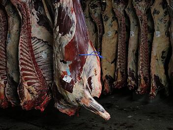 Jährlich werden in Bamberg über 350 000 Schweine und Rinder geschlachtet.  Foto: Sebastian Schanz
