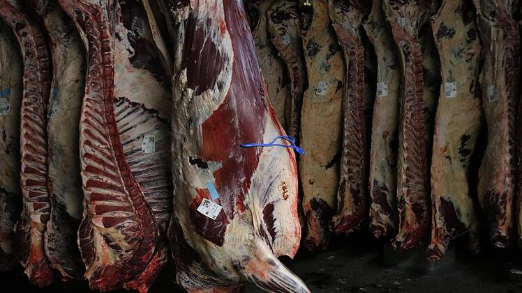 Jährlich werden in Bamberg über 350 000 Schweine und Rinder geschlachtet.  Foto: Sebastian Schanz