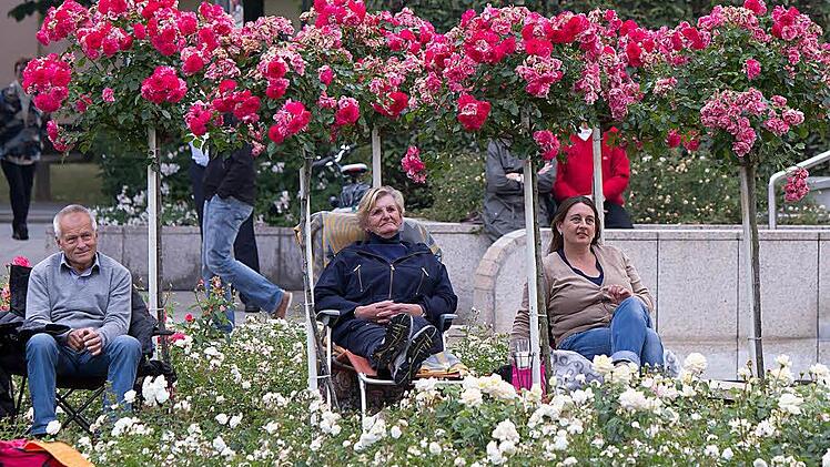 Foto: Albert Höchstädter