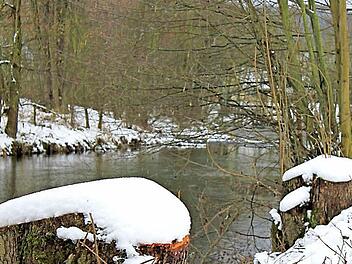An der Rodach, hinter dem Geschäft "Vögele", hat das Wasserwirtschaftsamt einige Bäume gefällt.  Foto: Dominic Buckreus