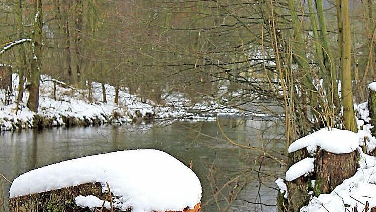An der Rodach, hinter dem Geschäft "Vögele", hat das Wasserwirtschaftsamt einige Bäume gefällt.  Foto: Dominic Buckreus