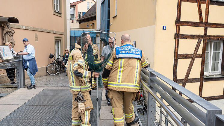 Feuerwehr und Wasserschutzpolizei retten vier Schwanenk&uuml;ken aus Fluss