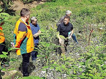 Zarte Pflänzchen wollen gepflegt sein: Darüber sprachen (von rechts) Sven Kaps, Heiko Stölzner (vorne), MdL Steffen Vogel, stellvertretender Landrat Oskar Ebert, Martin Neumeyer und Margret Schneider.