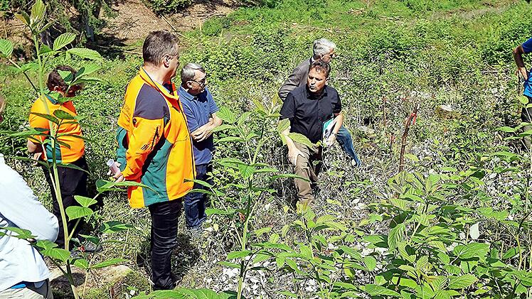 Zarte Pflänzchen wollen gepflegt sein: Darüber sprachen (von rechts) Sven Kaps, Heiko Stölzner (vorne), MdL Steffen Vogel, stellvertretender Landrat Oskar Ebert, Martin Neumeyer und Margret Schneider.