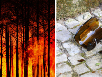 Symbolbild: Waldbrand, Glasscherben