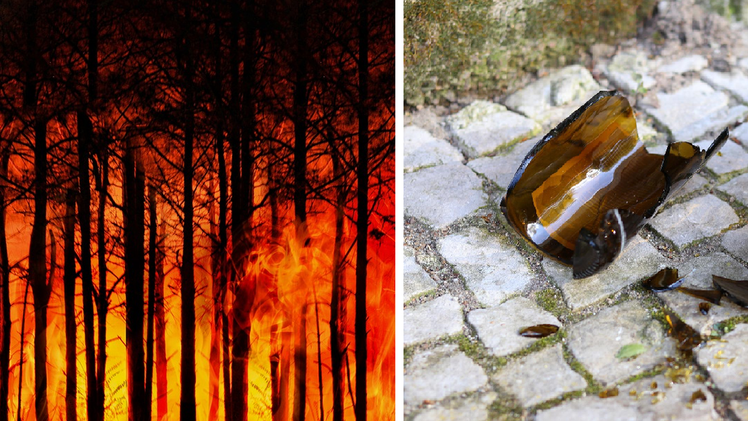 Symbolbild: Waldbrand, Glasscherben