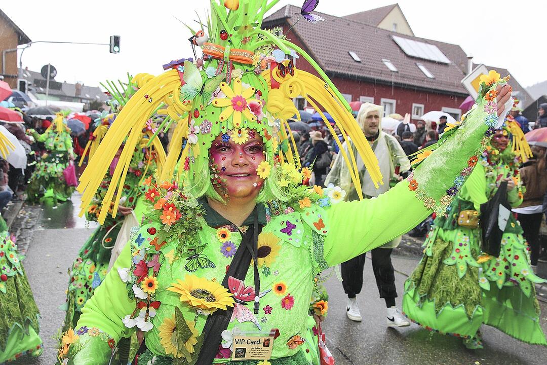 Großer Faschingsumzug  zum Stadtsteinacher Marktplatz