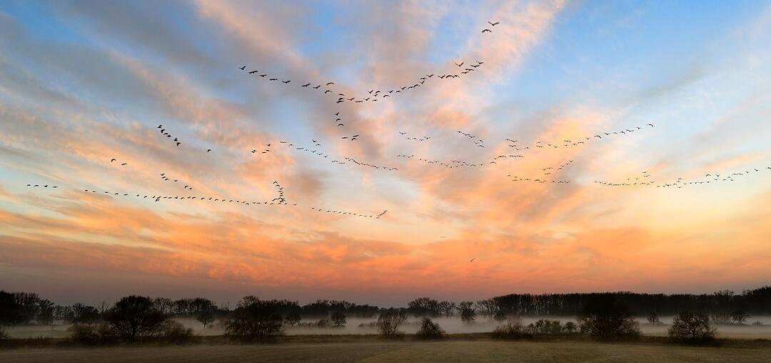 Wintermorgen in Niedersachsen