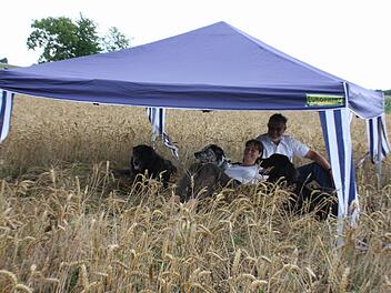 Monika Fritz und Otto Funck nahmen zum Abschluss der Aktion ein "Bett im Kornfeld" im Jahr 2011 selbst noch einmal Platz. Bad Kissingen war damit um eine Attraktion ärmer. Jetzt sprach Otto Funck im Erzählcafé in Münnerstadt darüber.Bartl