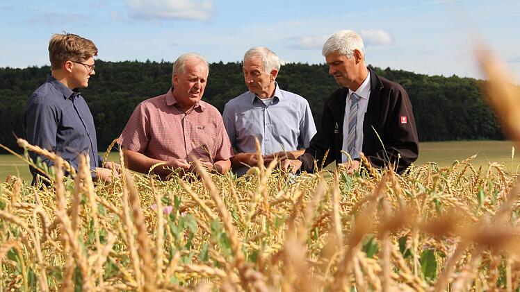 Tobias Wunner (von links), Reinhard Friedrich, Wilhelm Böhmer und Hermann Greif vom Bezirksverband Oberfranken des Bayerischen Bauernverbandes befürchten dieses Jahr eine unterdurchschnittliche Ernte. Foto: Ronald Heck