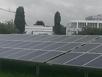 Werden Solarmodule wie diese bei Ludwigsstadt am Bahndamm installiert? Die Stadt und die Firma Greenovative machen sich darüber zurzeit Gedanken. Foto: Greenovative
