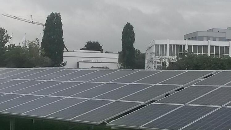 Werden Solarmodule wie diese bei Ludwigsstadt am Bahndamm installiert? Die Stadt und die Firma Greenovative machen sich darüber zurzeit Gedanken. Foto: Greenovative