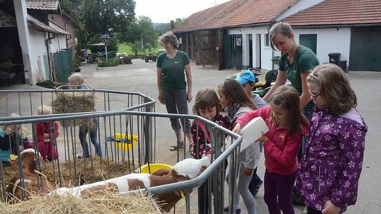 Kälbchen streicheln und füttern fanden die Kinder besonders schön. Beobachter sind Rosa Zehnter (links) und Lena Zehnter. Foto: Karl-Heinz Hofmann