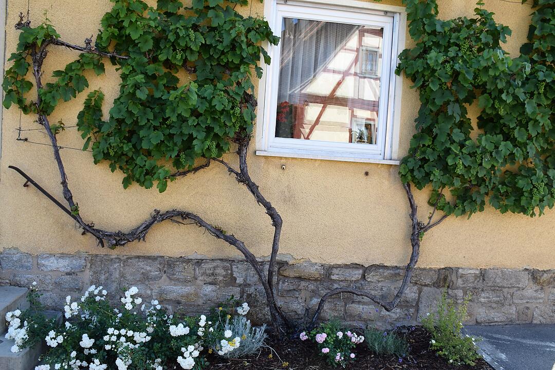 Unser Dorf hat Zukunft