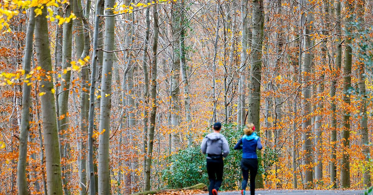 Wochenende-wird-vielerorts-sonnig-Nachtfrost-im-Osten