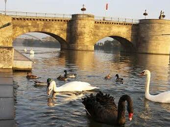 Die Alte Mainbrücke soll mehr sein als eine schöne Kulisse.  Foto: D. Fuchs