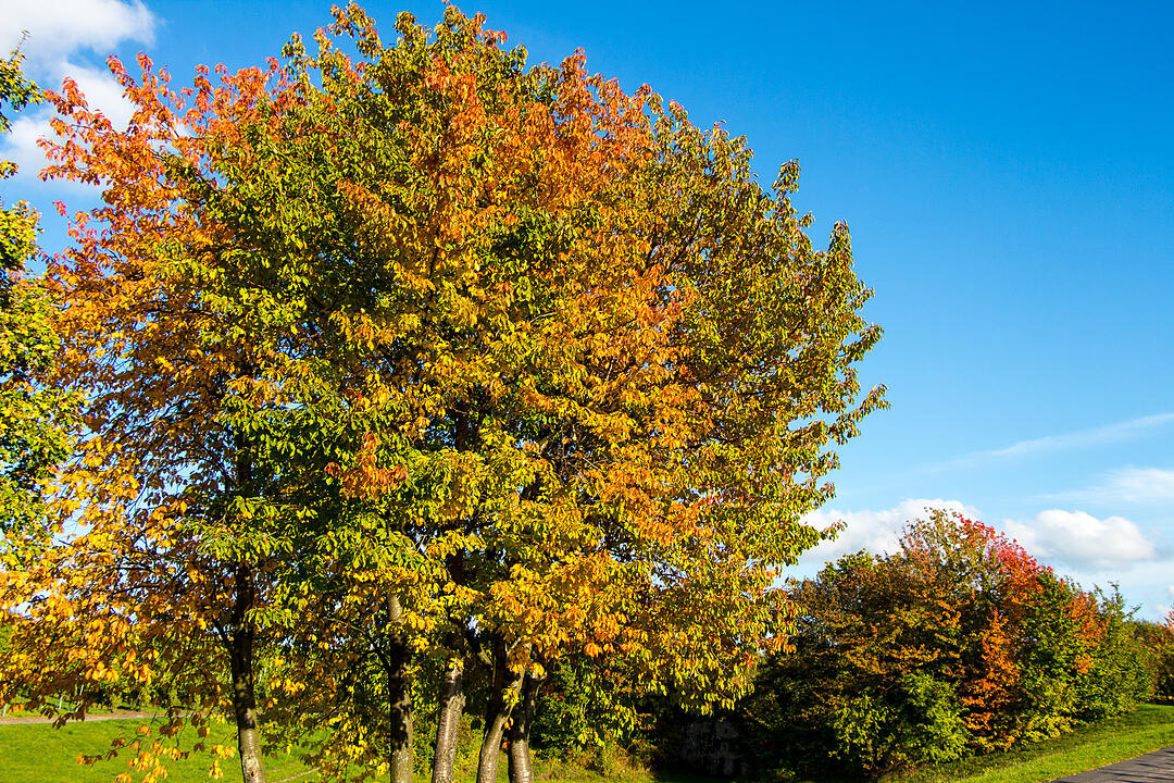 Fotos Konrad Thomann